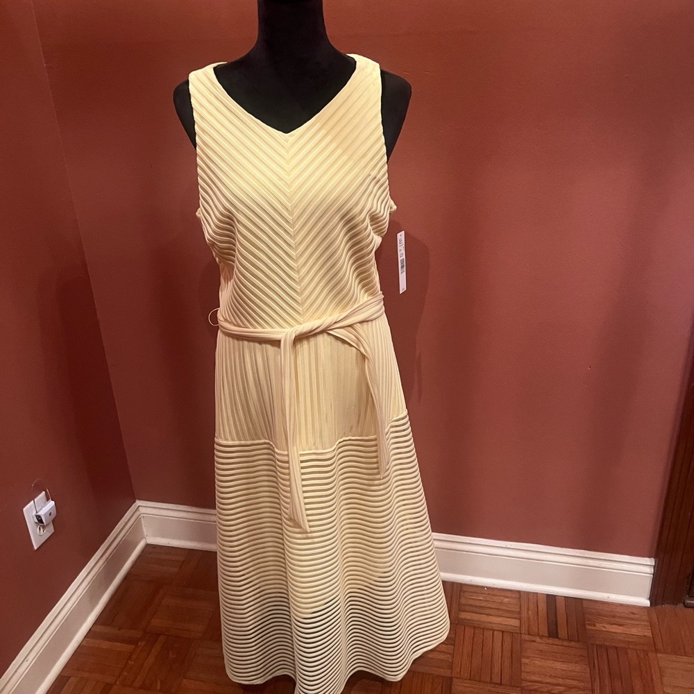 Antonio Melani yellow dress, size 12!  Brand New!!!